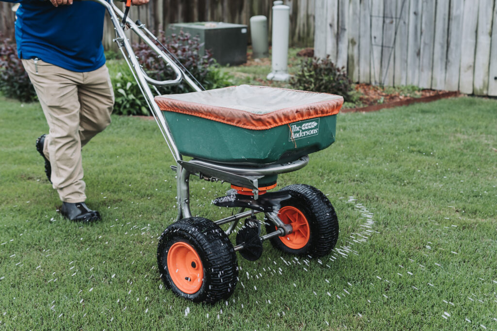 A green wheeled grass seed spreader is being pushed across a yard by a person in khaki pants and a blue shirt.